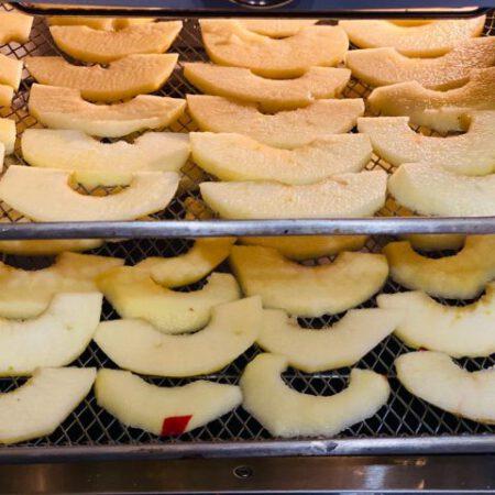 Apfelchips im Airfryer